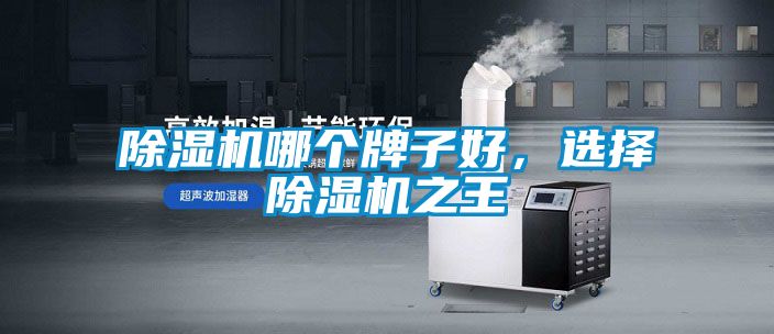 除濕機(jī)哪個(gè)牌子好，選擇除濕機(jī)之王