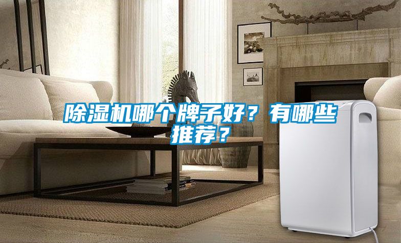 除濕機(jī)哪個(gè)牌子好？有哪些推薦？