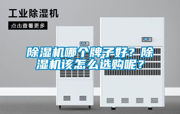 除濕機(jī)哪個(gè)牌子好？除濕機(jī)該怎么選購(gòu)呢？