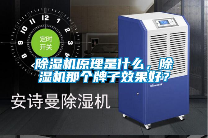 除濕機(jī)原理是什么，除濕機(jī)那個(gè)牌子效果好？