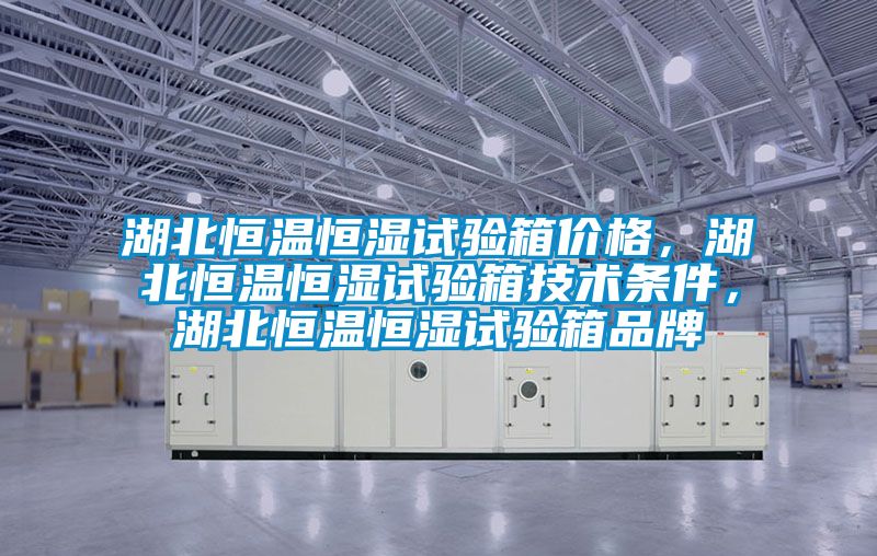 湖北恒溫恒濕試驗(yàn)箱價(jià)格，湖北恒溫恒濕試驗(yàn)箱技術(shù)條件，湖北恒溫恒濕試驗(yàn)箱品牌