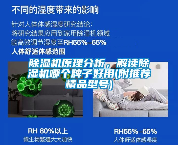 除濕機(jī)原理分析，解讀除濕機(jī)哪個(gè)牌子好用(附推薦精品型號)