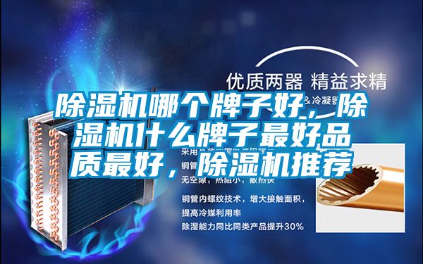 除濕機(jī)哪個(gè)牌子好，除濕機(jī)什么牌子最好品質(zhì)最好，除濕機(jī)推薦