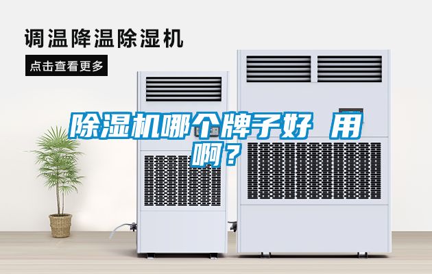 除濕機哪個牌子好 用??？