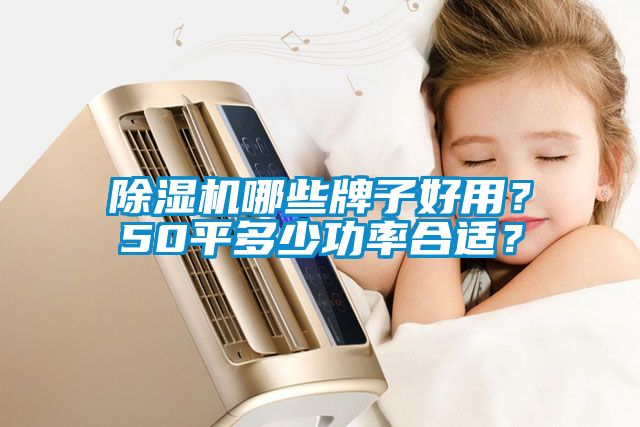 除濕機(jī)哪些牌子好用？50平多少功率合適？