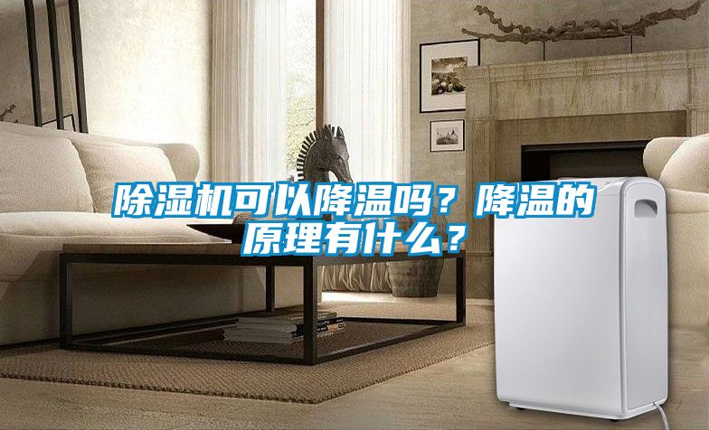 除濕機(jī)可以降溫嗎？降溫的原理有什么？