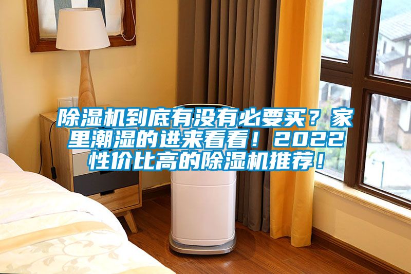 除濕機(jī)到底有沒有必要買？家里潮濕的進(jìn)來(lái)看看！2022性價(jià)比高的除濕機(jī)推薦！