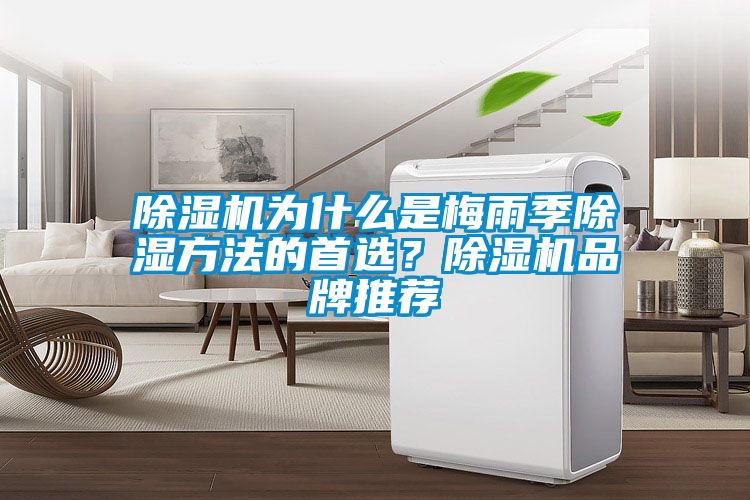 除濕機(jī)為什么是梅雨季除濕方法的首選？除濕機(jī)品牌推薦