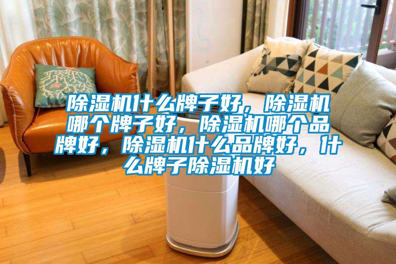 除濕機什么牌子好，除濕機哪個牌子好，除濕機哪個品牌好，除濕機什么品牌好，什么牌子除濕機好