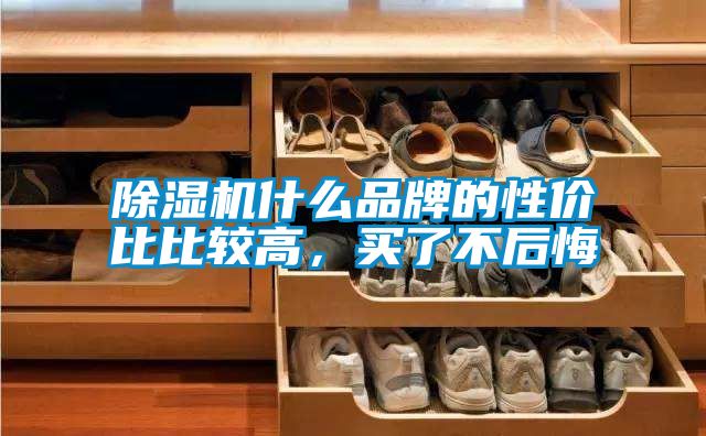 除濕機(jī)什么品牌的性?xún)r(jià)比比較高，買(mǎi)了不后悔