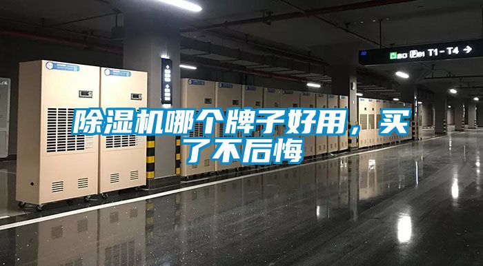 除濕機(jī)哪個(gè)牌子好用，買了不后悔