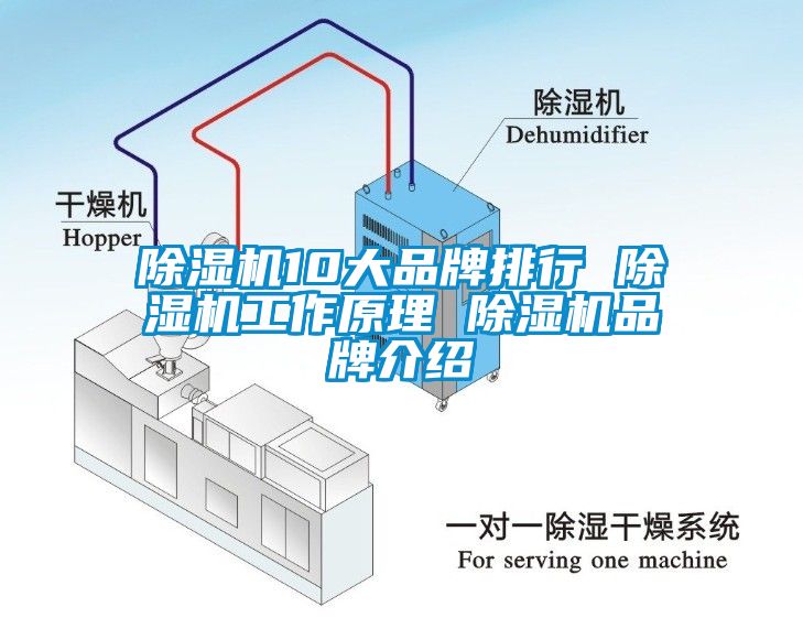 除濕機10大品牌排行 除濕機工作原理 除濕機品牌介紹