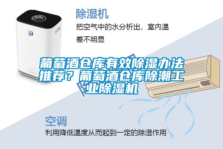 葡萄酒倉庫有效除濕辦法推薦？葡萄酒倉庫除潮工業(yè)除濕機