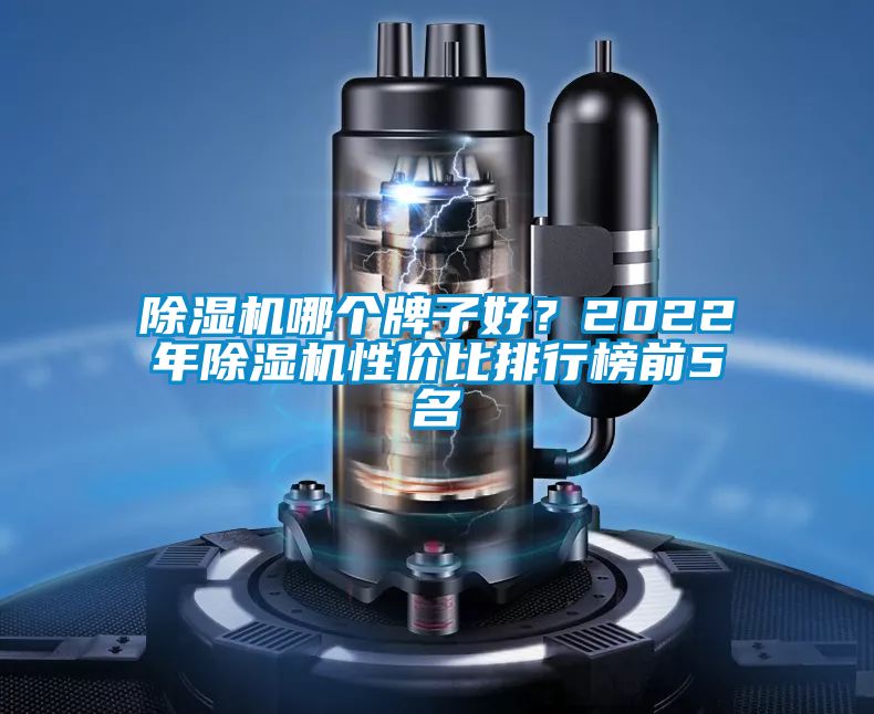 除濕機哪個牌子好？2022年除濕機性價比排行榜前5名