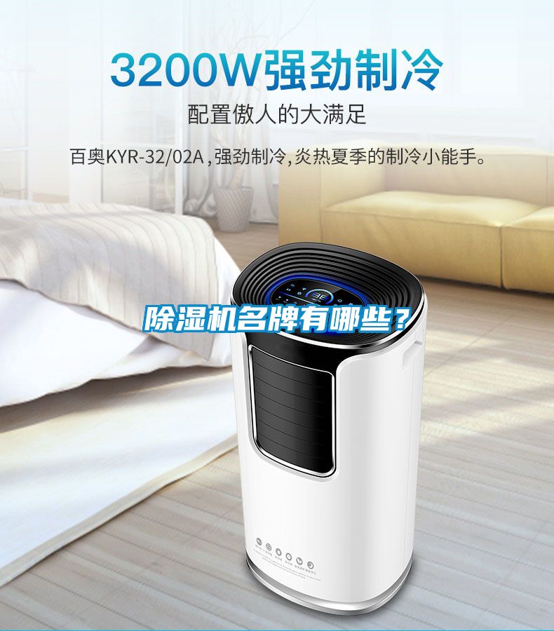 除濕機名牌有哪些？