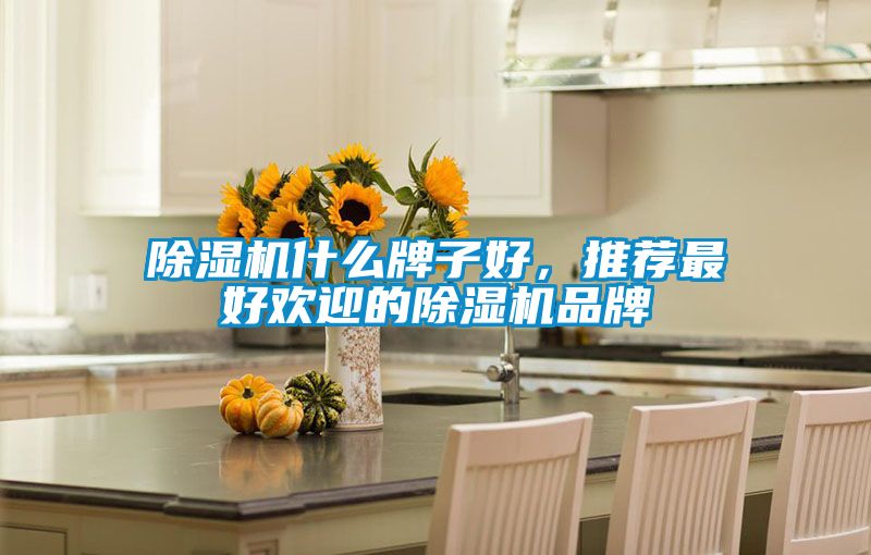 除濕機什么牌子好，推薦最好歡迎的除濕機品牌