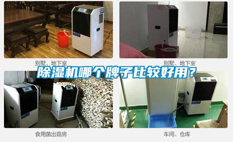 除濕機哪個牌子比較好用？