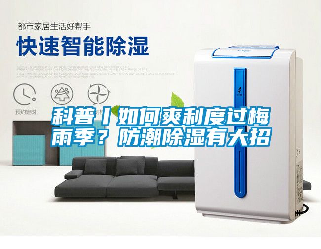科普丨如何爽利度過梅雨季？防潮除濕有大招
