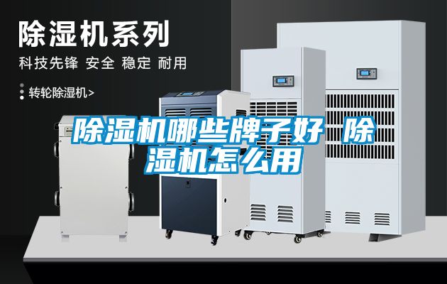 除濕機哪些牌子好 除濕機怎么用