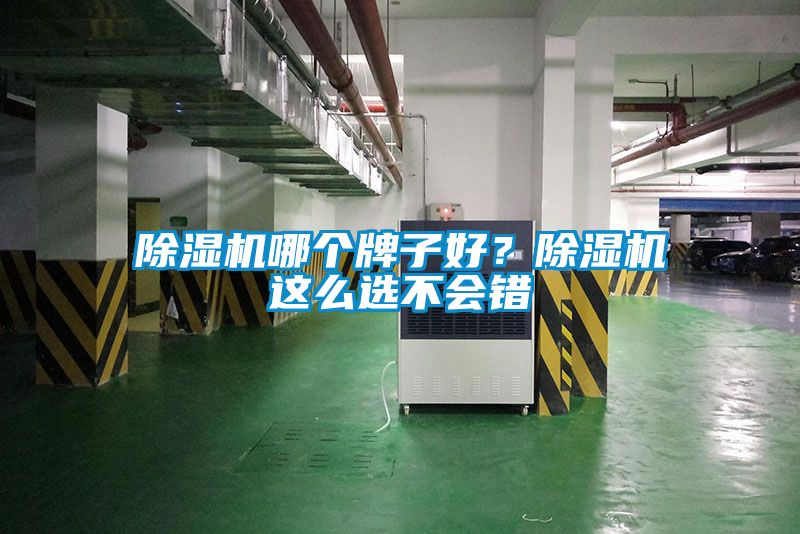 除濕機(jī)哪個(gè)牌子好？除濕機(jī)這么選不會(huì)錯(cuò)