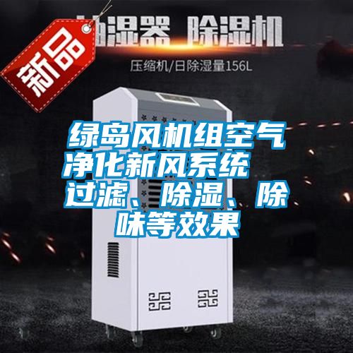 綠島風(fēng)機(jī)組空氣凈化新風(fēng)系統(tǒng)  過(guò)濾、除濕、除味等效果
