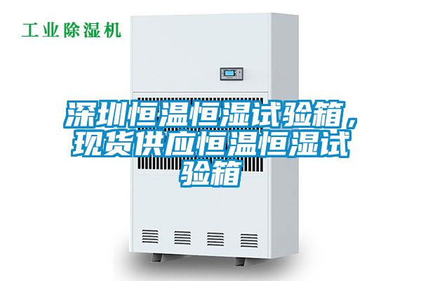 深圳恒溫恒濕試驗(yàn)箱，現(xiàn)貨供應(yīng)恒溫恒濕試驗(yàn)箱