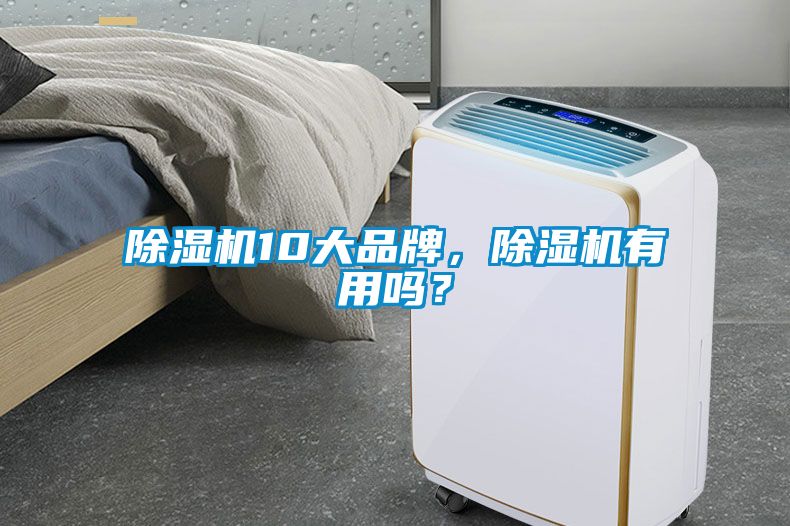 除濕機10大品牌，除濕機有用嗎？