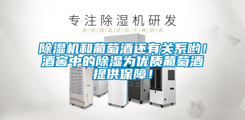 除濕機(jī)和葡萄酒還有關(guān)系喲！酒窖中的除濕為優(yōu)質(zhì)葡萄酒提供保障！