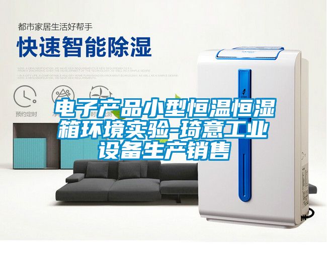 電子產(chǎn)品小型恒溫恒濕箱環(huán)境實驗-琦意工業(yè)設(shè)備生產(chǎn)銷售