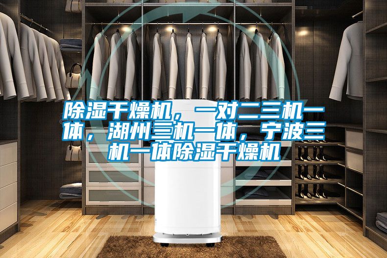 除濕干燥機，一對二三機一體，湖州三機一體，寧波三機一體除濕干燥機
