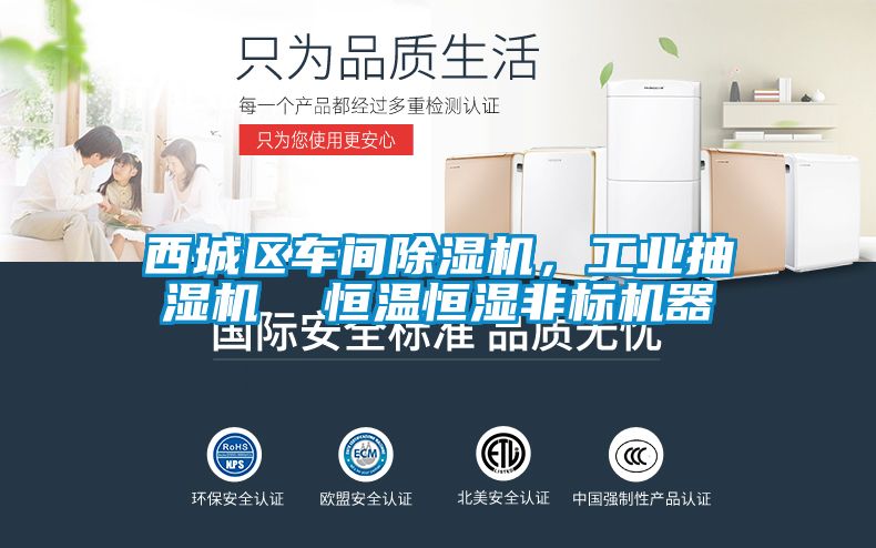 西城區(qū)車間除濕機，工業(yè)抽濕機  恒溫恒濕非標(biāo)機器