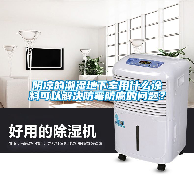 陰涼的潮濕地下室用什么涂料可以解決防霉防腐的問題？