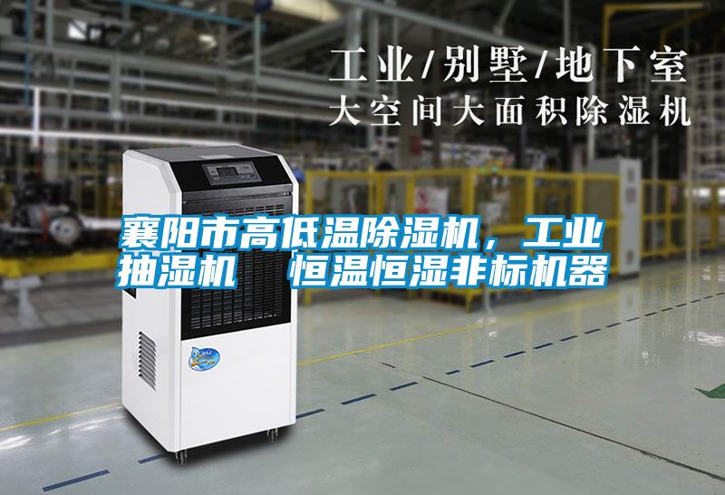 襄陽市高低溫除濕機，工業(yè)抽濕機  恒溫恒濕非標機器