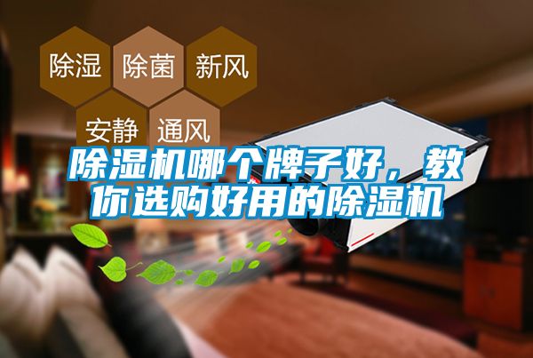 除濕機(jī)哪個(gè)牌子好，教你選購(gòu)好用的除濕機(jī)