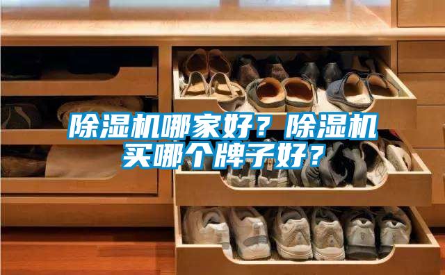 除濕機(jī)哪家好？除濕機(jī)買(mǎi)哪個(gè)牌子好？