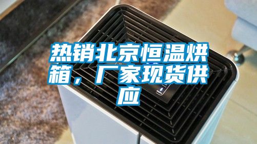 熱銷(xiāo)北京恒溫烘箱，廠家現(xiàn)貨供應(yīng)