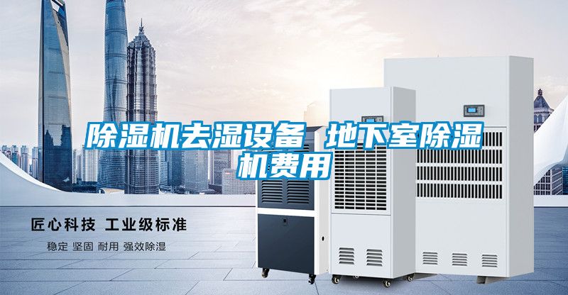 除濕機(jī)去濕設(shè)備 地下室除濕機(jī)費(fèi)用