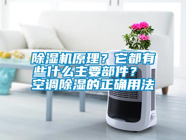 除濕機(jī)原理？它都有些什么主要部件？ 空調(diào)除濕的正確用法