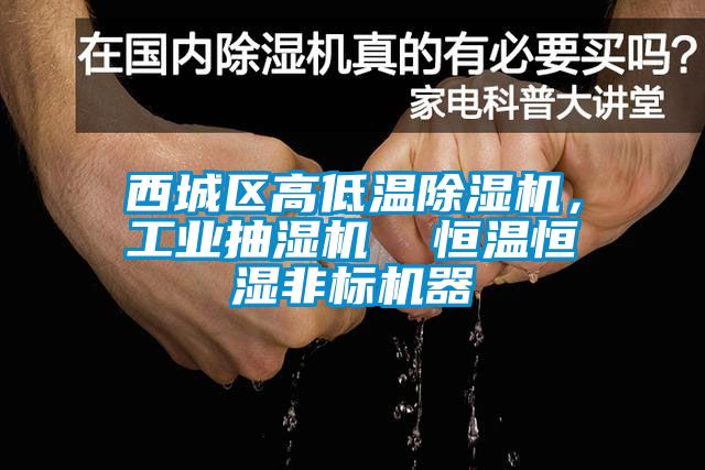 西城區(qū)高低溫除濕機(jī)，工業(yè)抽濕機(jī)  恒溫恒濕非標(biāo)機(jī)器