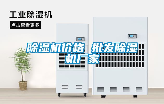 除濕機(jī)價格 批發(fā)除濕機(jī)廠家