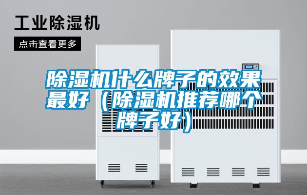 除濕機(jī)什么牌子的效果最好（除濕機(jī)推薦哪個(gè)牌子好）