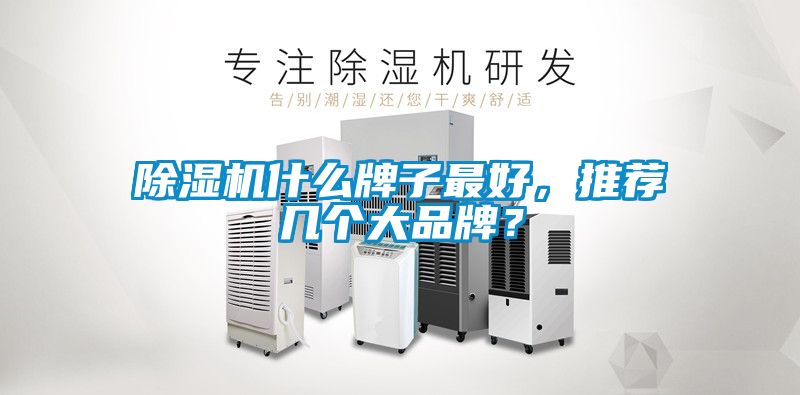 除濕機什么牌子最好，推薦幾個大品牌？
