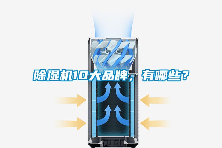 除濕機10大品牌，有哪些？