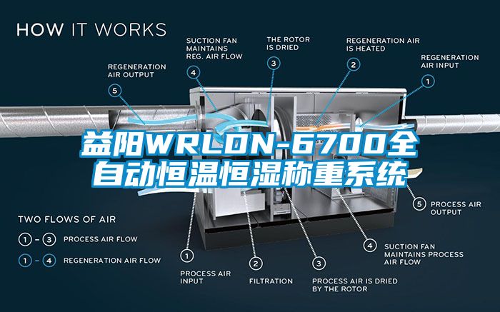 益陽WRLDN-6700全自動(dòng)恒溫恒濕稱重系統(tǒng)