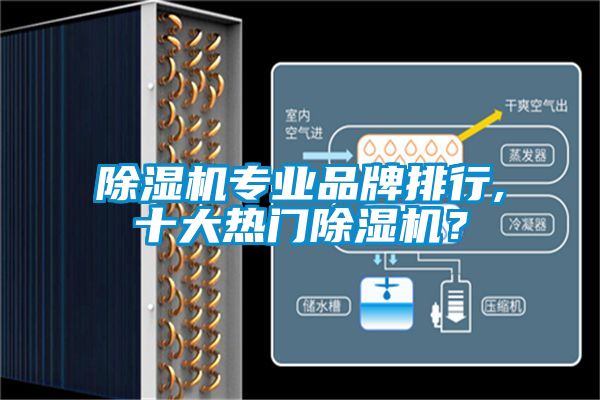 除濕機專業(yè)品牌排行,十大熱門除濕機？