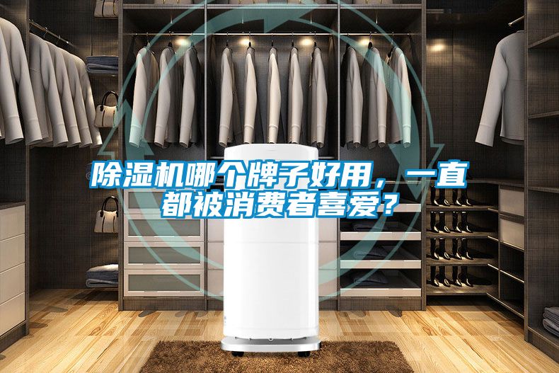 除濕機哪個牌子好用，一直都被消費者喜愛？