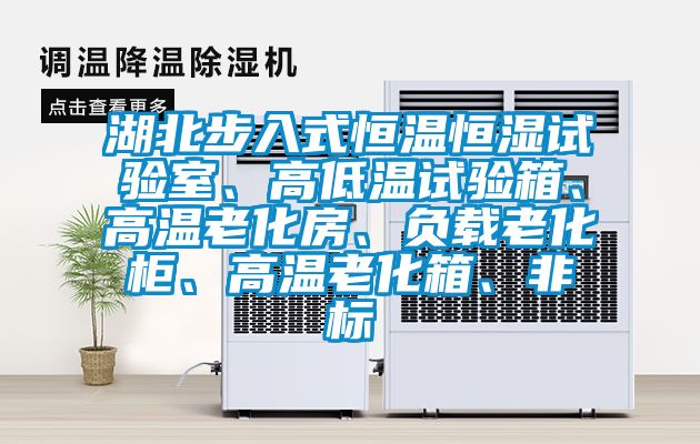 湖北步入式恒溫恒濕試驗室、高低溫試驗箱、高溫老化房、負載老化柜、高溫老化箱、非標(biāo)
