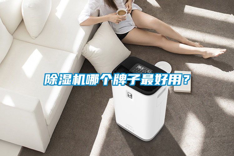 除濕機(jī)哪個(gè)牌子最好用？