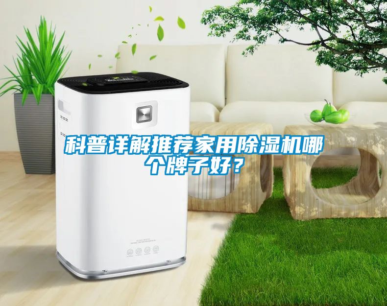 科普詳解推薦家用除濕機哪個牌子好？