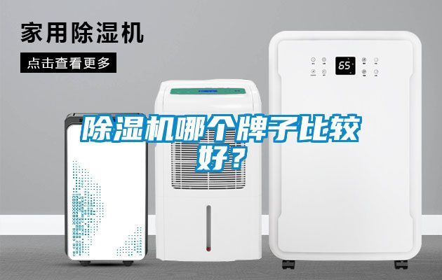 除濕機(jī)哪個(gè)牌子比較好？